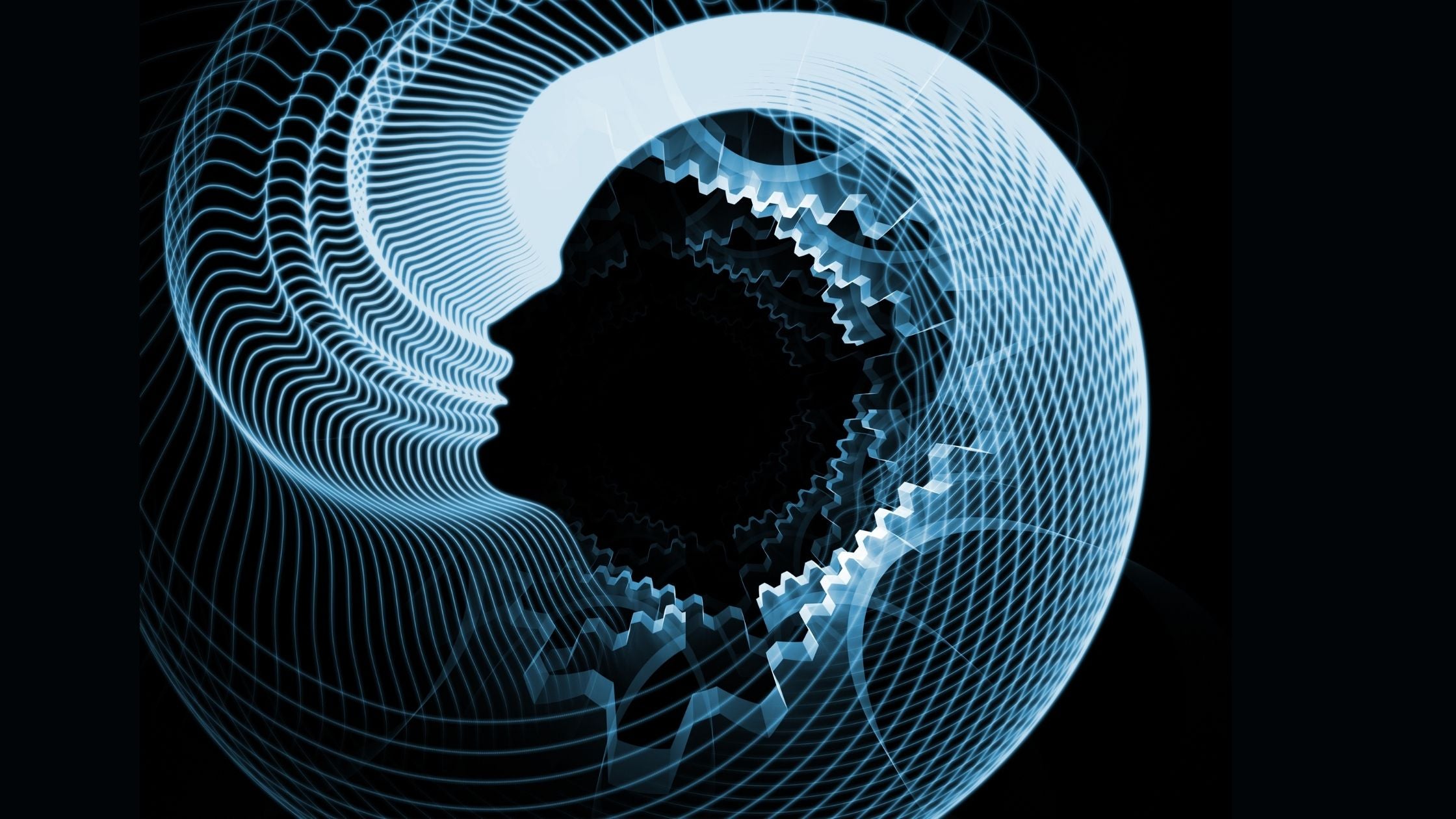 The Reality of the Human Being