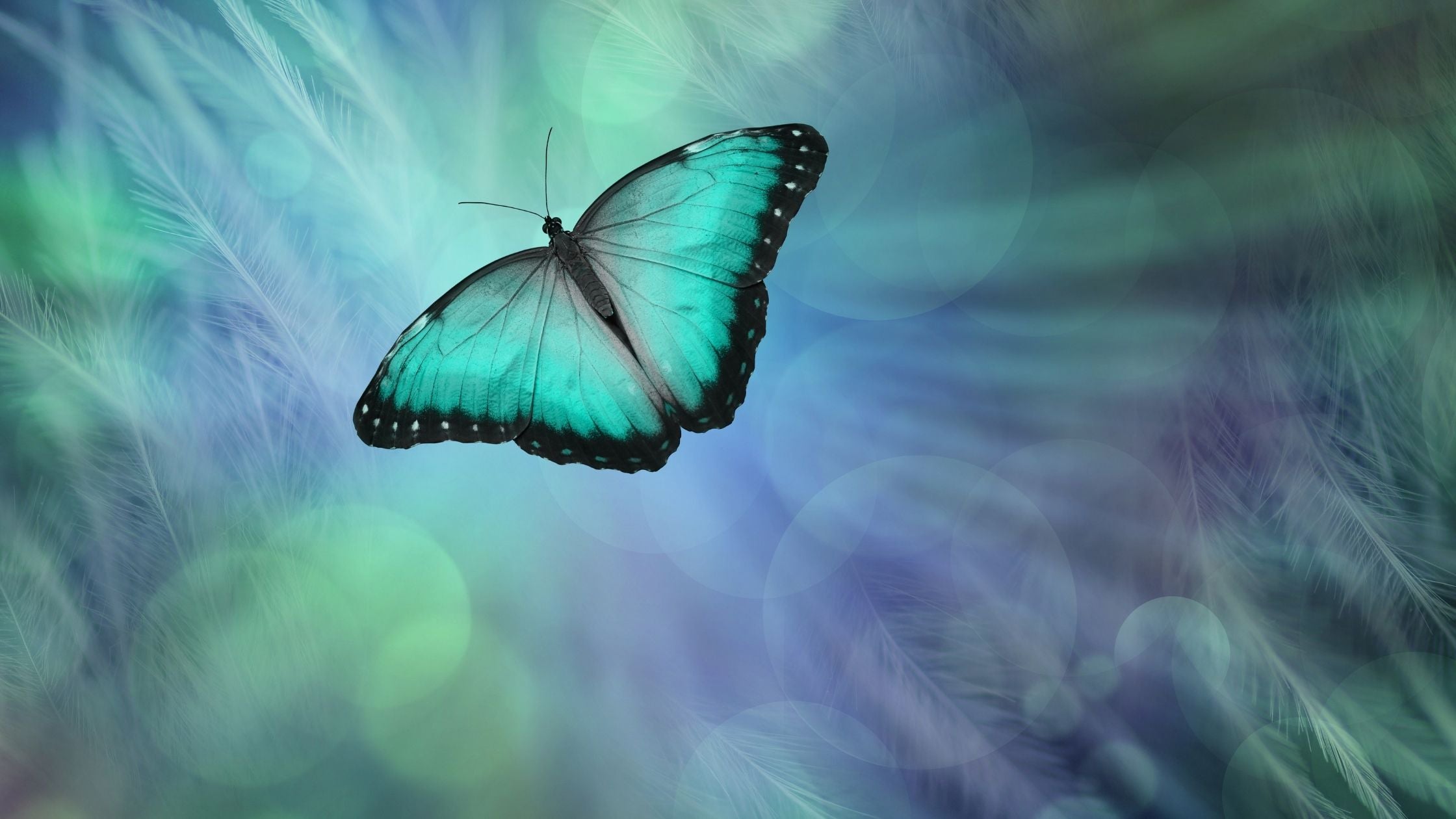 The Nature and Reality of the Spirit (al-Ruh)