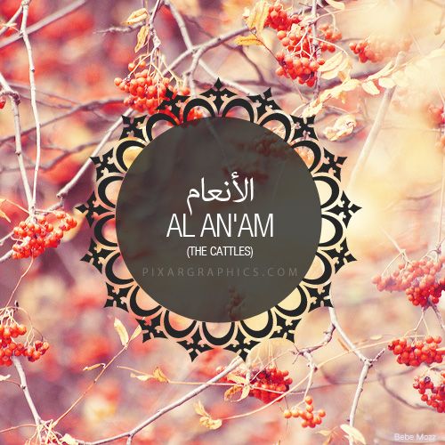 Chapter 6 (al-An’am)