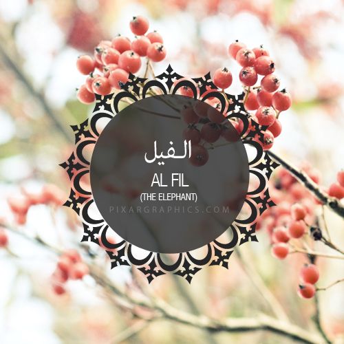 Chapter 105 (Al-Fil)