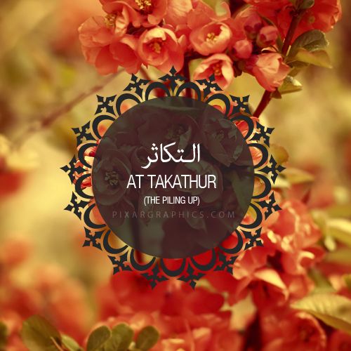 Chapter 102 (Al-Takathur)