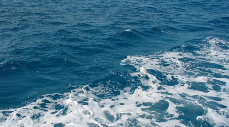 The Qur’anic Parable of Truth & Falsehood