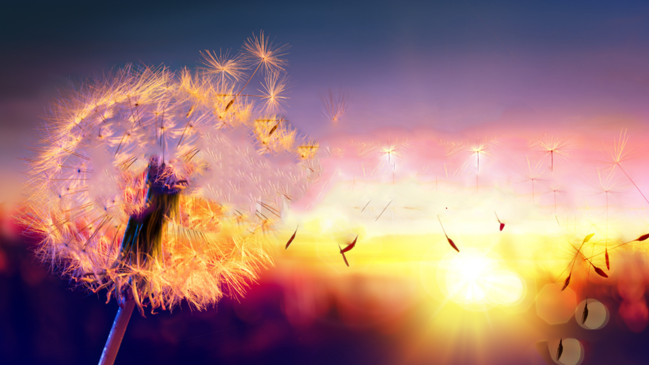 Faith and its Enhancement