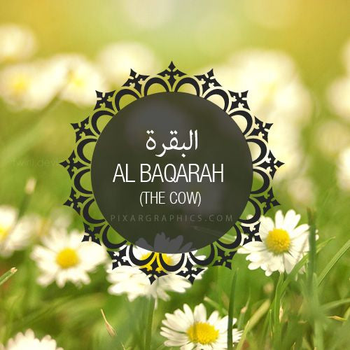 Chapter 2 (al-Baqarah)