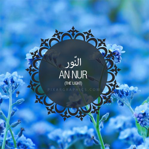 Chapter 24 (Al-Nur)