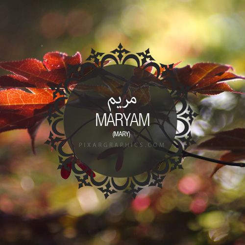 Chapter 19 (Maryam)